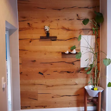 Abzuchthafen Apartmán Goslar